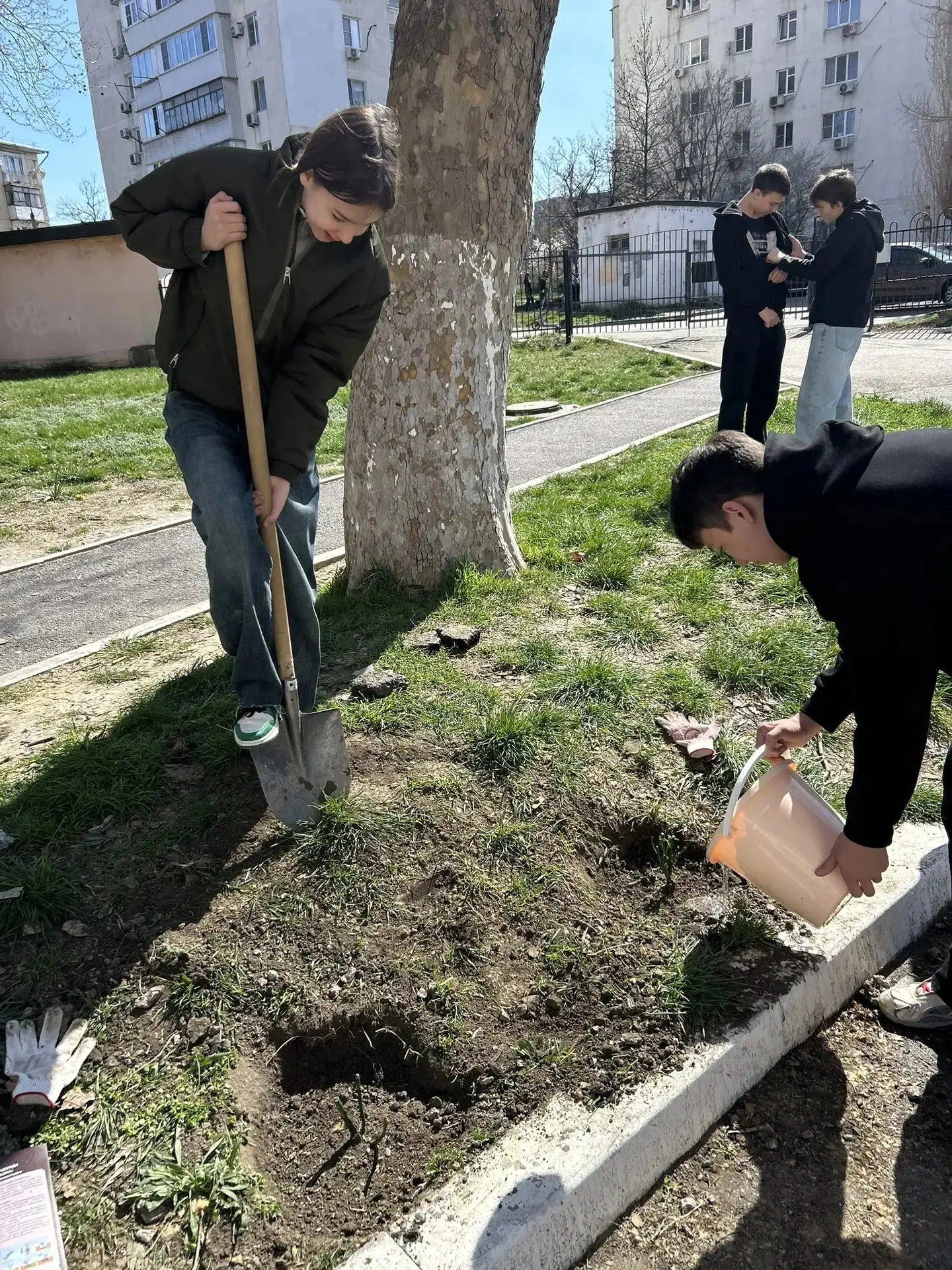 🌹 Помним. Гордимся. Созидаем.  Всероссийская акция «Сад памяти» объединяет миллионы сердец по всей с