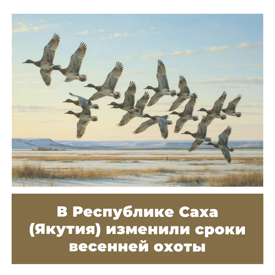 Указом Главы Республики Саха (Якутия) от 08.05.2026 № 935 изменено разделение территори...