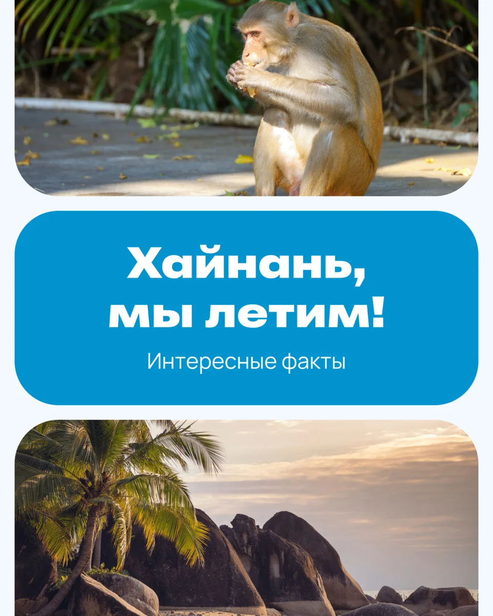 Летим на Хайнань от 112 031 ₽ за двоих 🏄‍♂️

Остров Хайнань в Китае — замечательное местечко на б