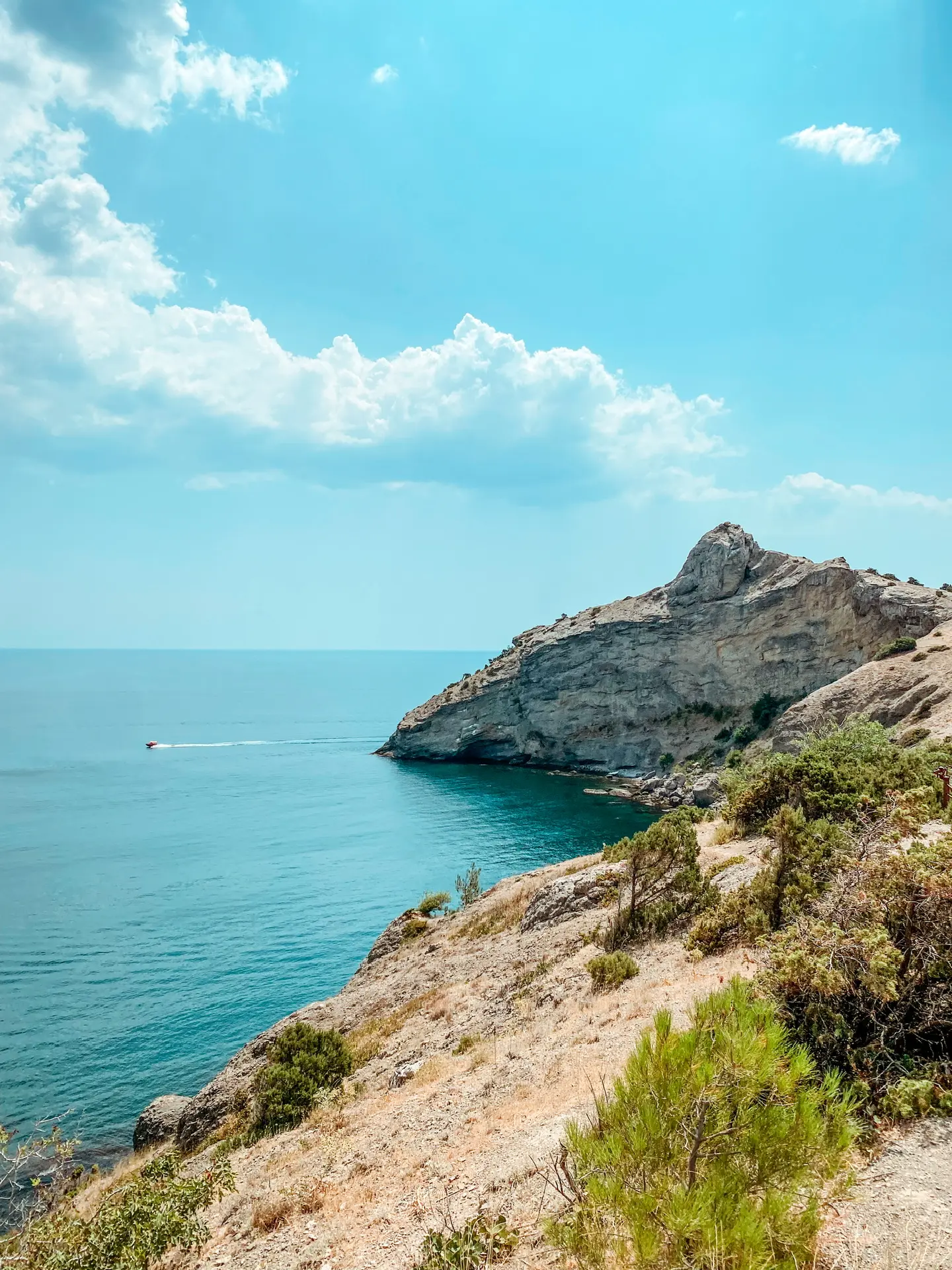 🗓️Расписание экскурсий по Крыму на неделю:

Среда, 17 июня 
❤️ Экскурсия «Никитский ботанический са
