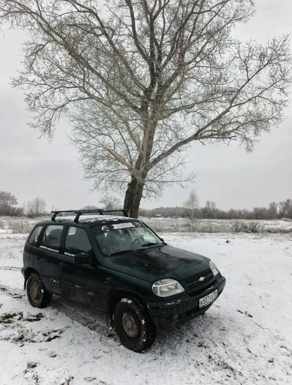 🌨 Мощный снегопад прошёл в двух районах Новосибирской области. Высота снежного покрова...