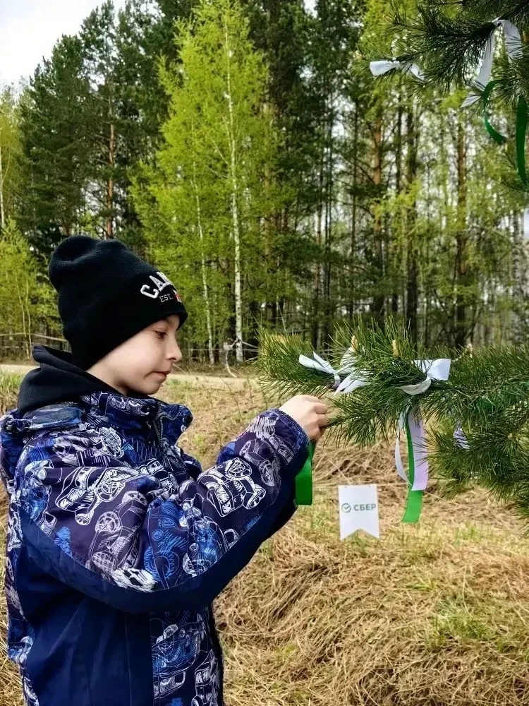 🌳✨ Семья нашего ученика 6а класса Ашурок Николая приняла участие в ежегодной Международной акции «Са