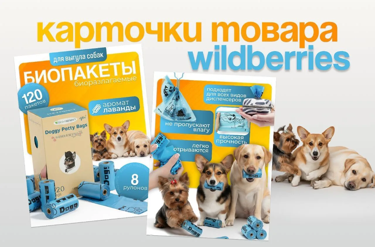Обложка + инфографика