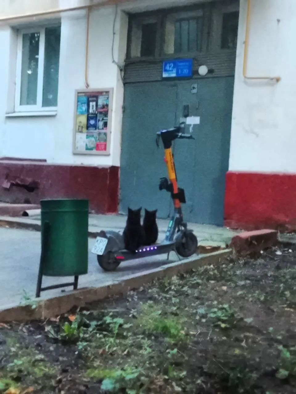 🛴 Самокатчики продолжают ездить вдвоём на одном самокате, хотя это запрещено.  

Но этих можно прос