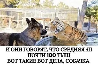 Средняя зарплата в Тульской области в июне выросла почти до 98 тысяч