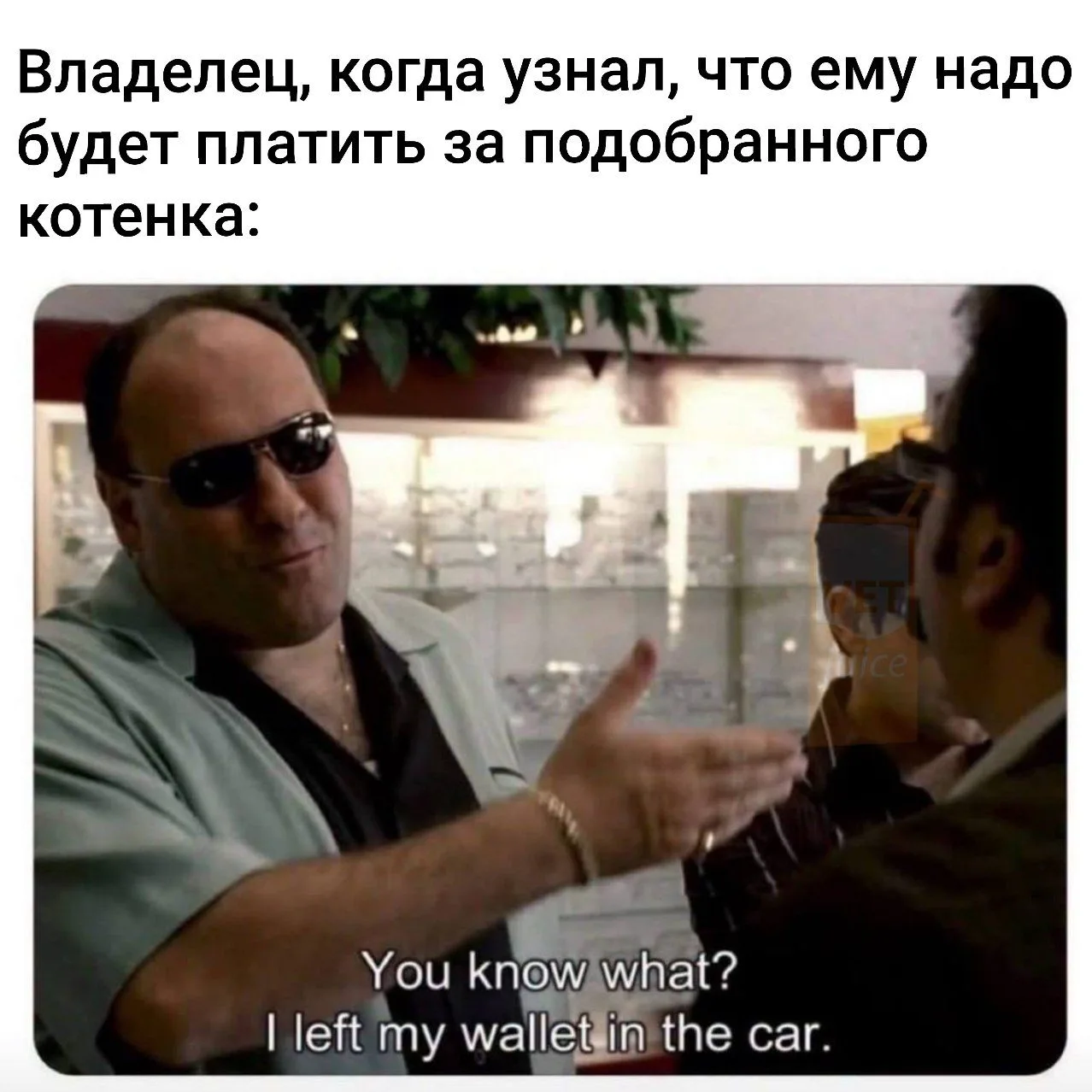 #vetjuice