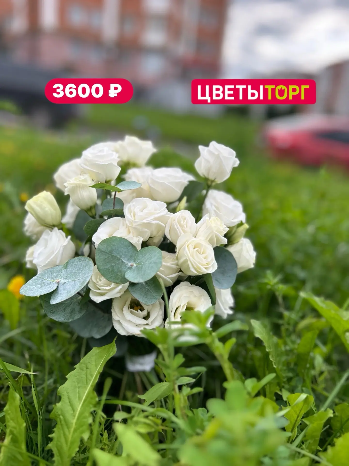 ✨ Свадебные букеты и поздравительные букеты от Цветыторг✨