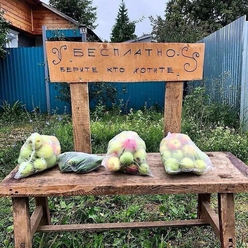 Вот это правильно, что соседи поделились 🍎