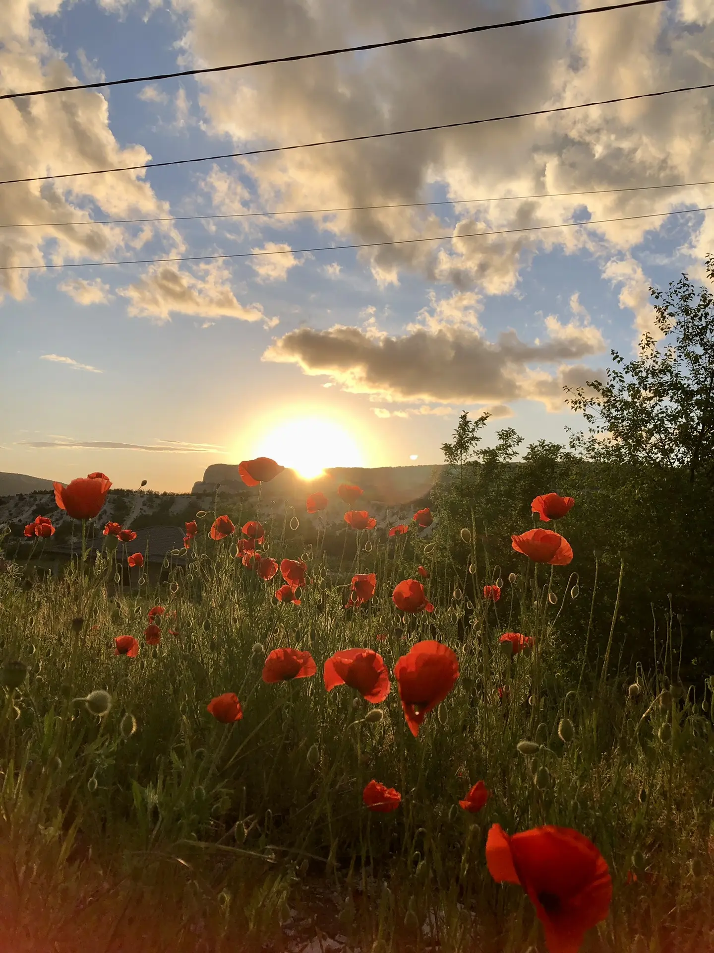 Невероятные кадры сделала на днях🩵🌿💫