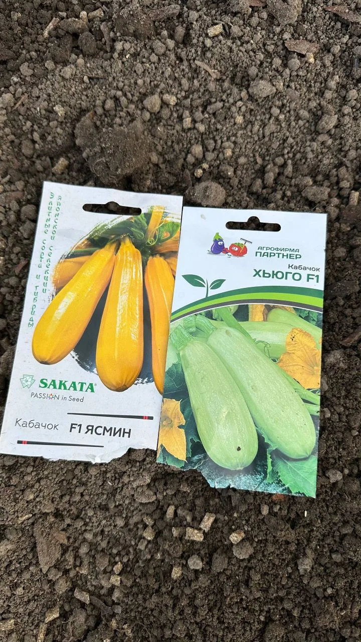 Добрый вечер, дорогие друзья! 💚