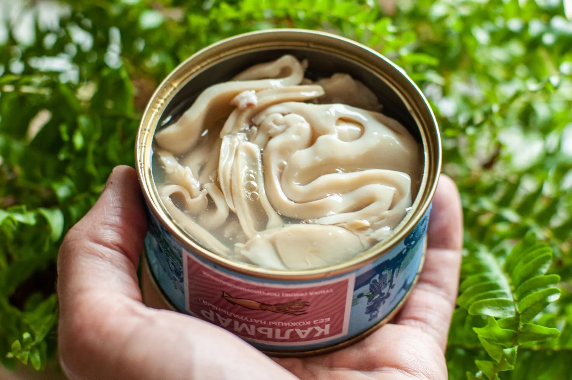 Консервы из командорского кальмара — то, что надо для такой погоды!

Открыл, слил жидкость, нарезал,