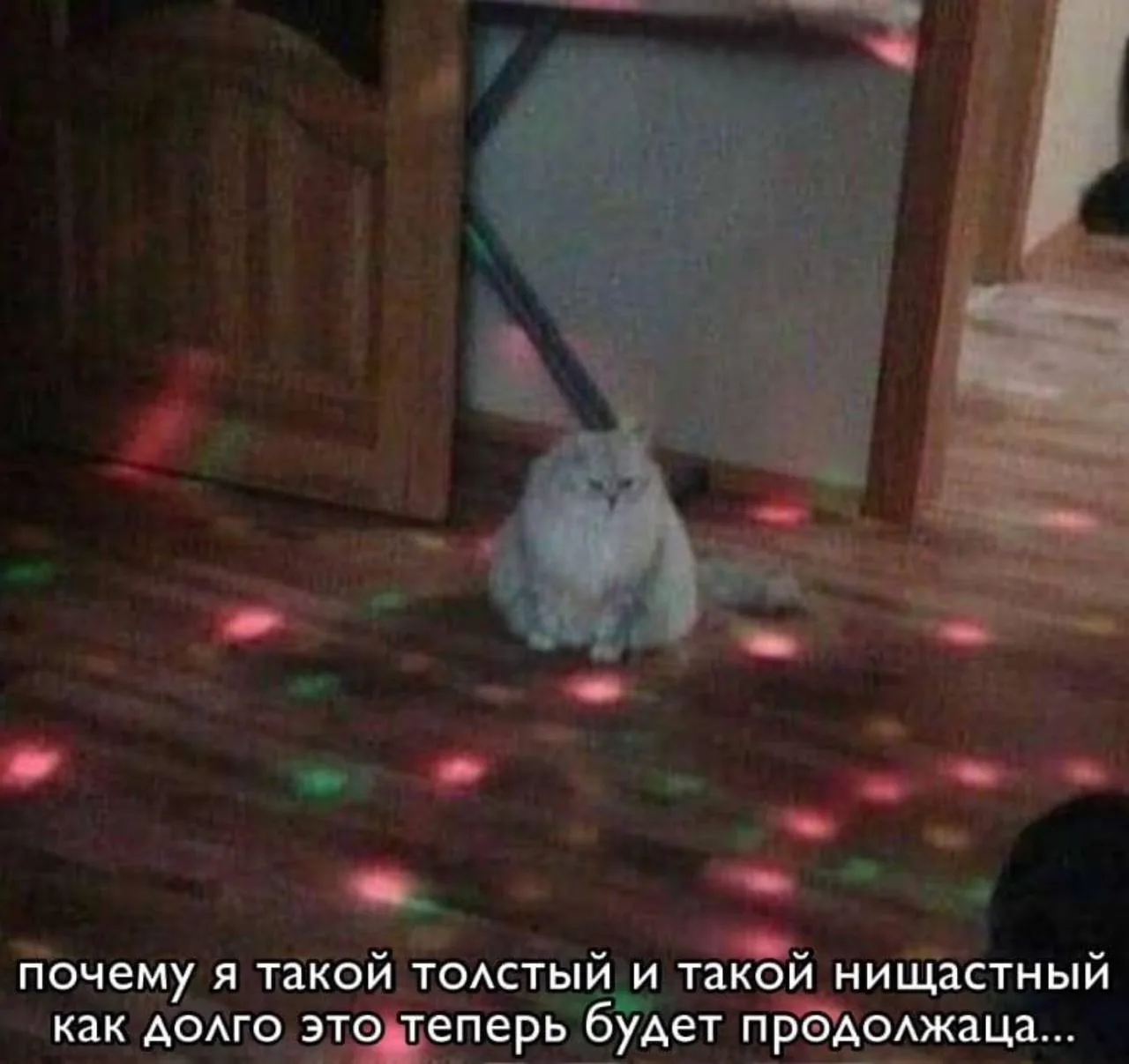Мемы каждый день • Подписаться