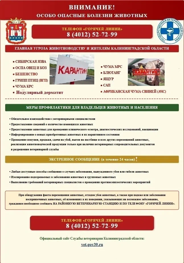 ❗Государственная ветеринарная служба Калининградской области напоминает жителям об особ...