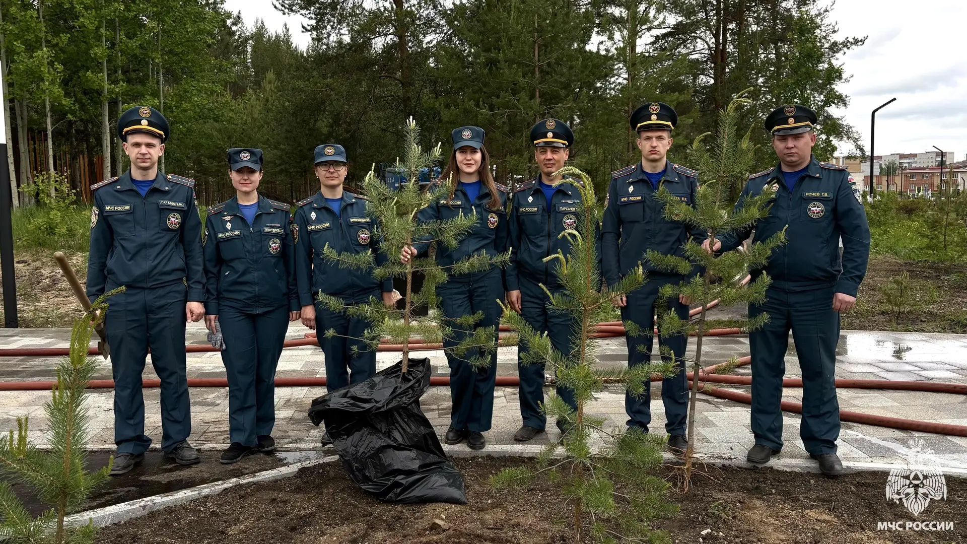 🌲Вклад в экологическое будущее
