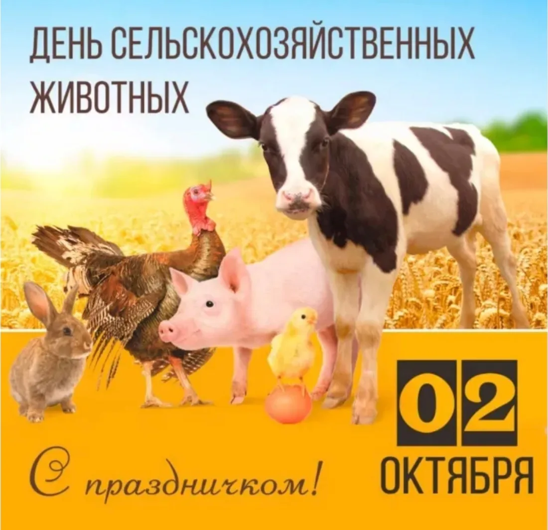 🎉 2 октября — Всемирный день сельскохозяйственных животных! 🎉