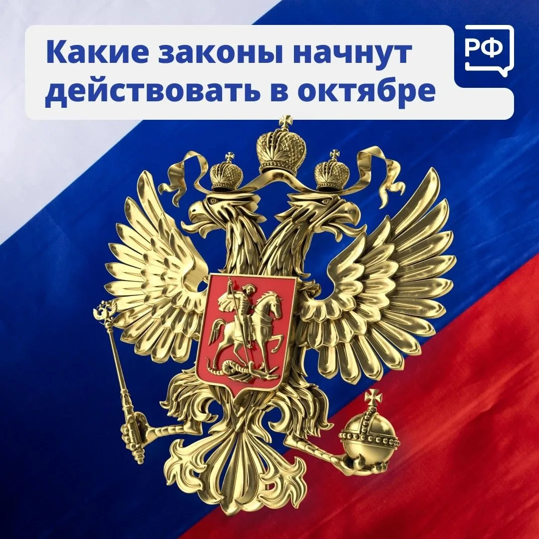 🗓 Маркетплейсы усилят защиту прав покупателей, условия семейной ипотеки изменятся, а п...