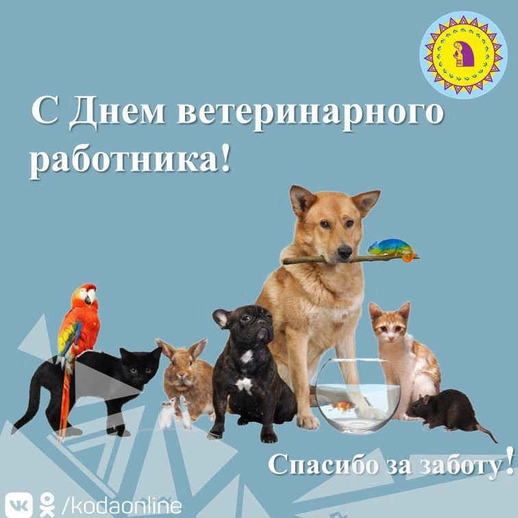 Ветеринар — это не просто профессия. Это призвание, требующее огромной любви к животным...
