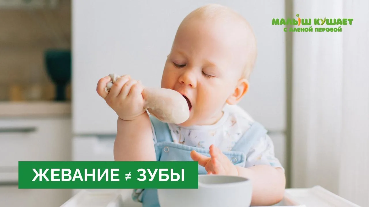 Нужны ли зубы, чтобы начать знакомство с кусочками?

Коротко нет. Ниже разберёмся, почему это так и 
