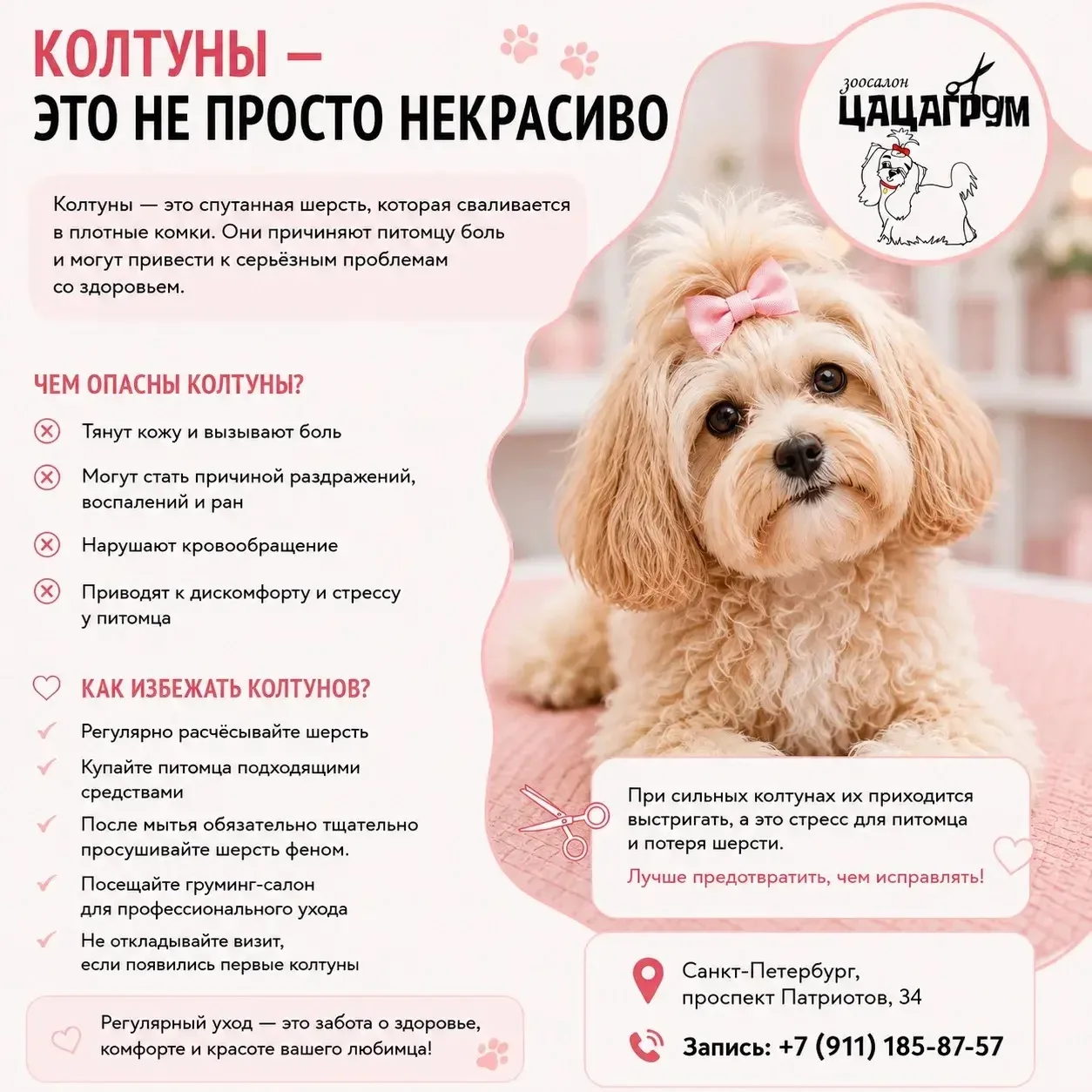 🐾Колтуны - это не просто некрасиво
