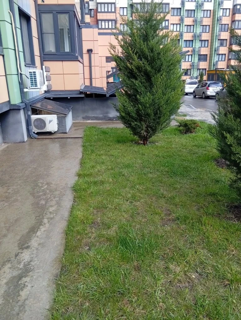 🌷 Уважаемые жители наших  домов по адресу : ул. Ленина,дом 243 и  б-р Босфорский 14 ✨  Напоминаем, ч