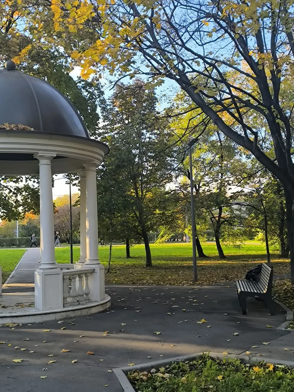 Золотая осень заглянула в наши аллеи 🍁