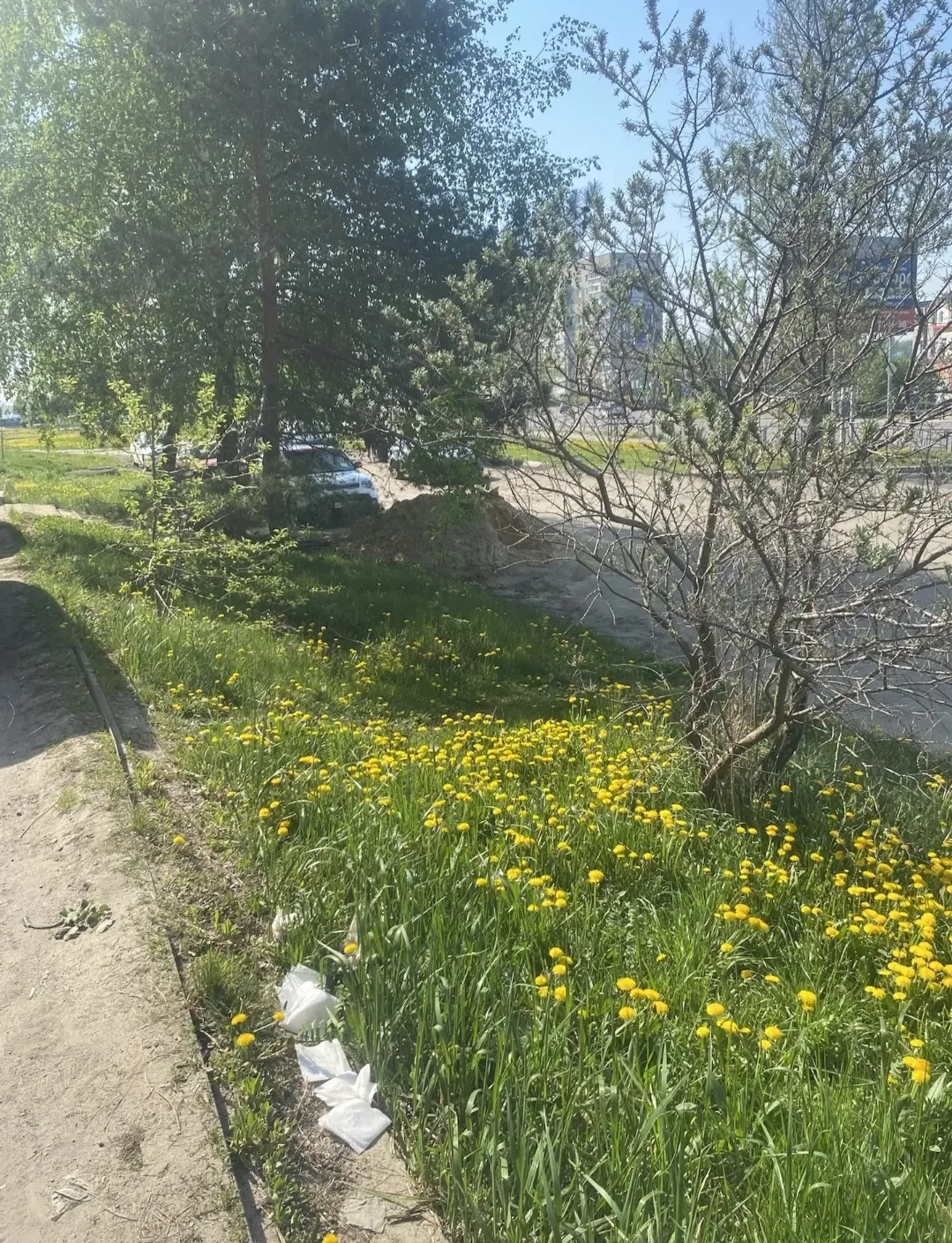 ⭐В преддверии Дня Победы комитет муниципального имущества и земельных отношений принял ...