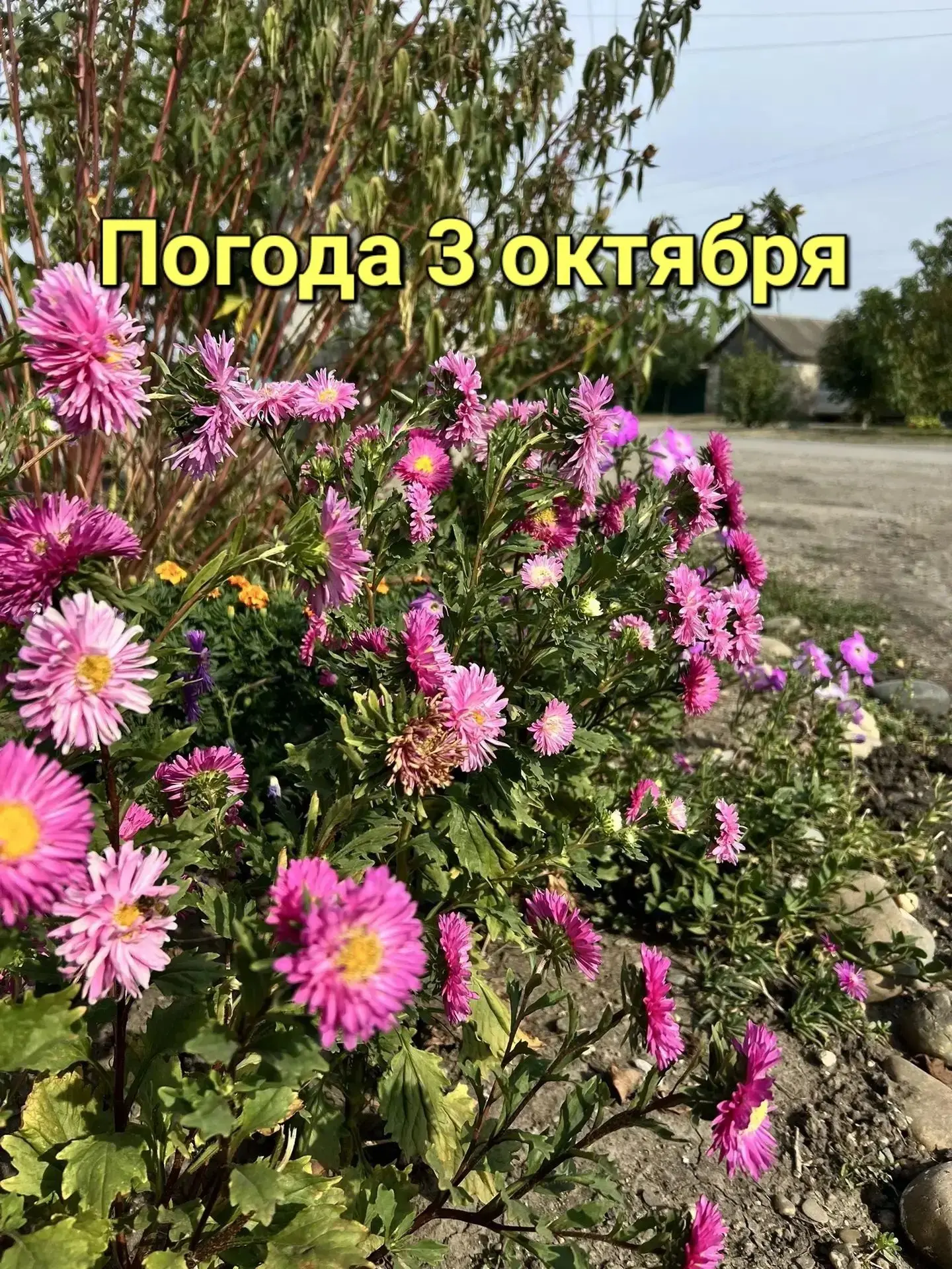 Будет прохладно