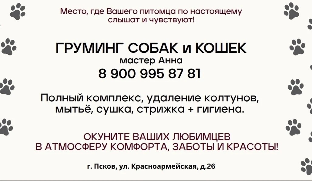 👤 Анна Иванова