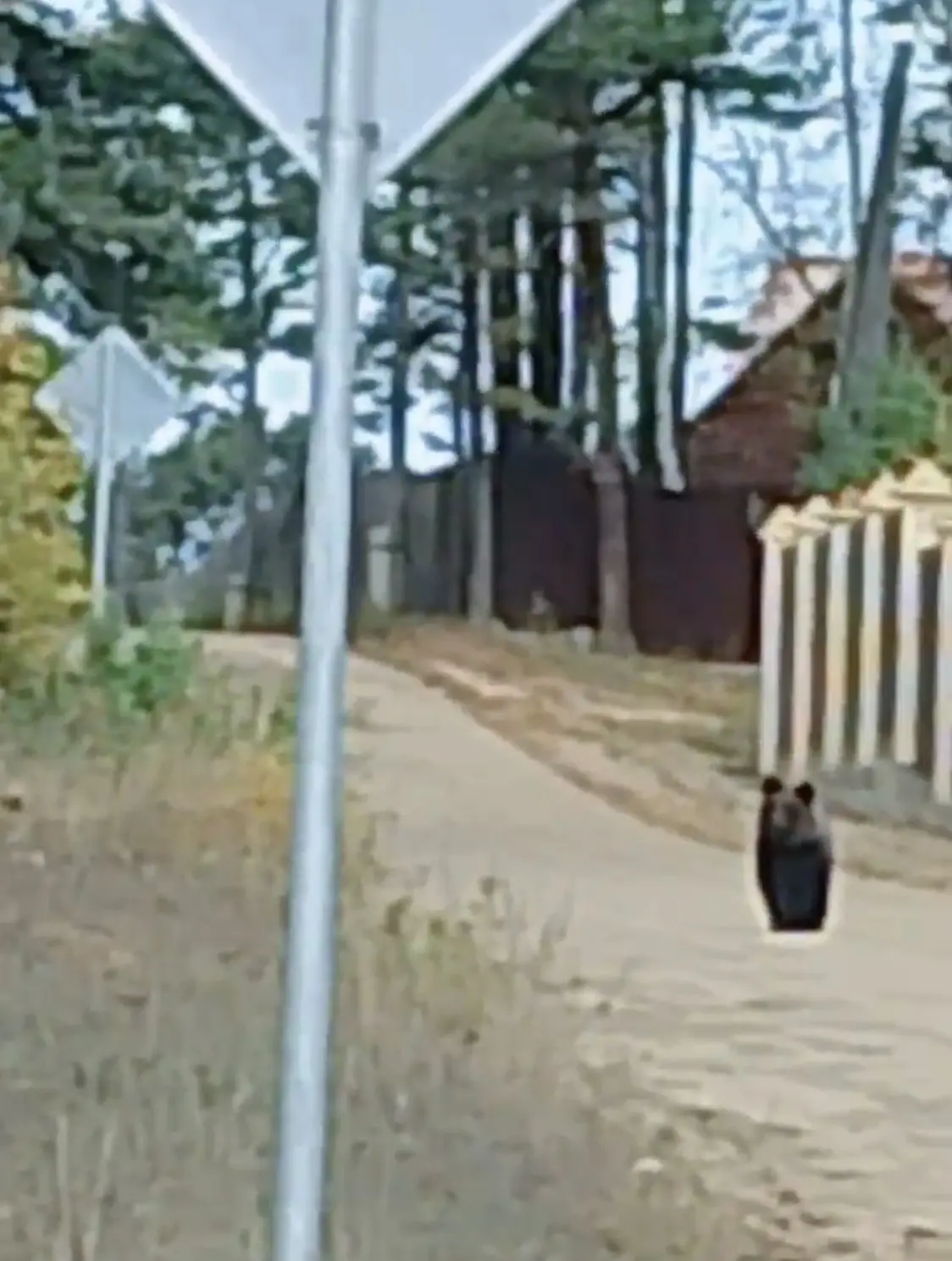 📢Замечен