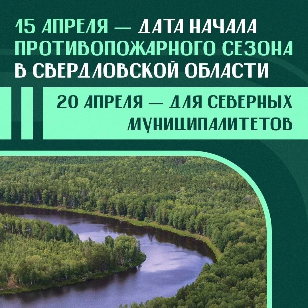 Защитить лес от огня — наша общая задача