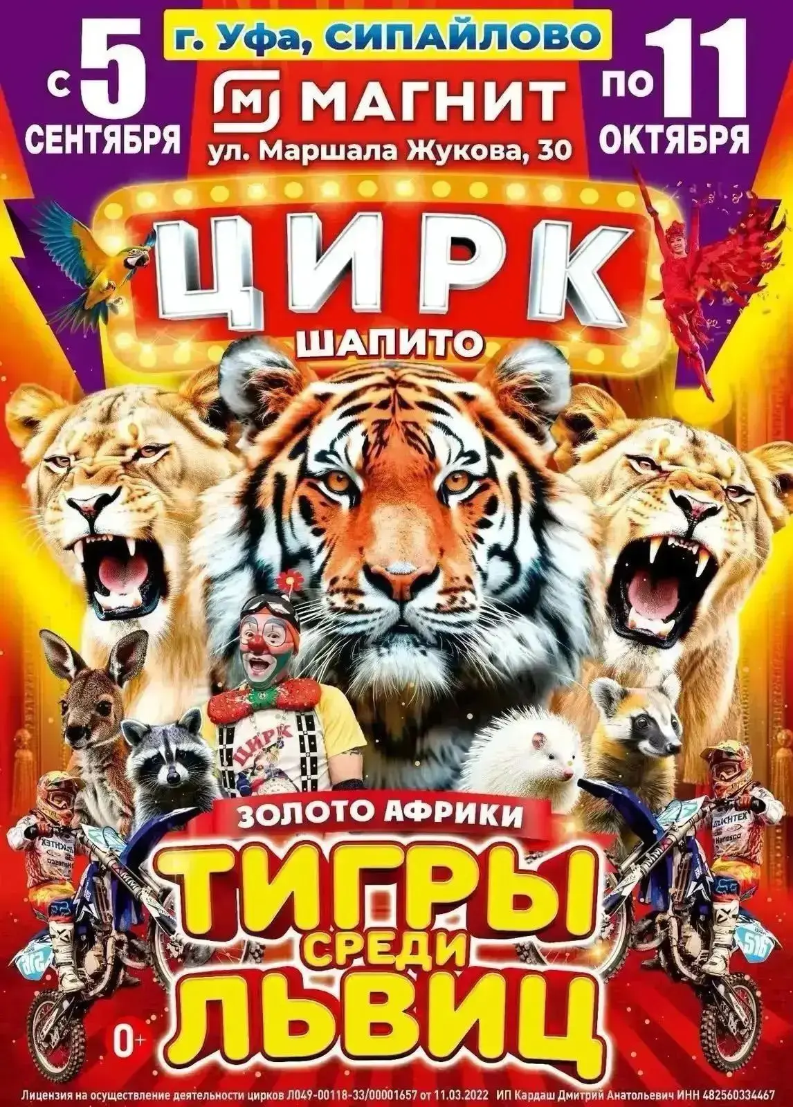 3 октября в 17:00 сектор 2, ряд 8, места 17-19