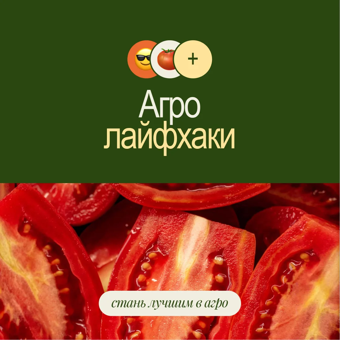 🍅 Зелёные помидоры могут дозреть в коробке со спелыми. Положите их в один слой, добавь...