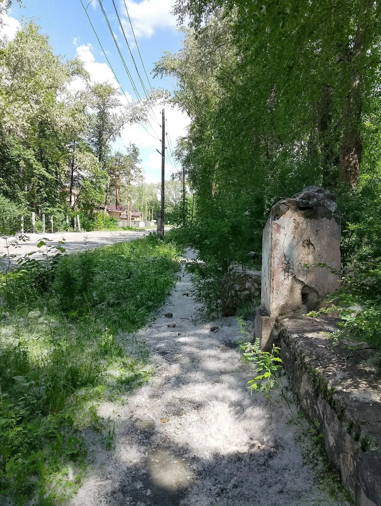 На улицах города настоящие сугробы из тополиного пуха 😲