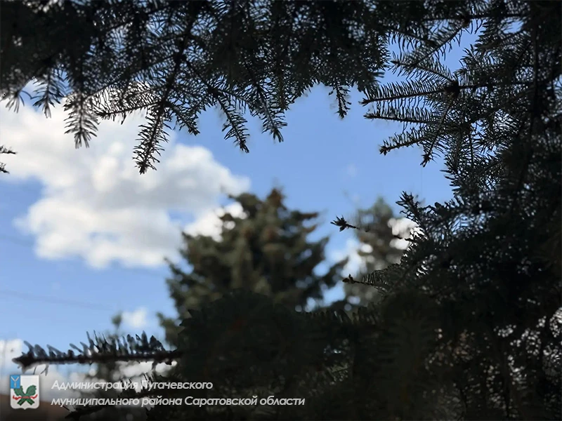 ☀️Метеорологическая обстановка, прогноз опасных и неблагоприятных метеорологических явлений

➡️Опасн