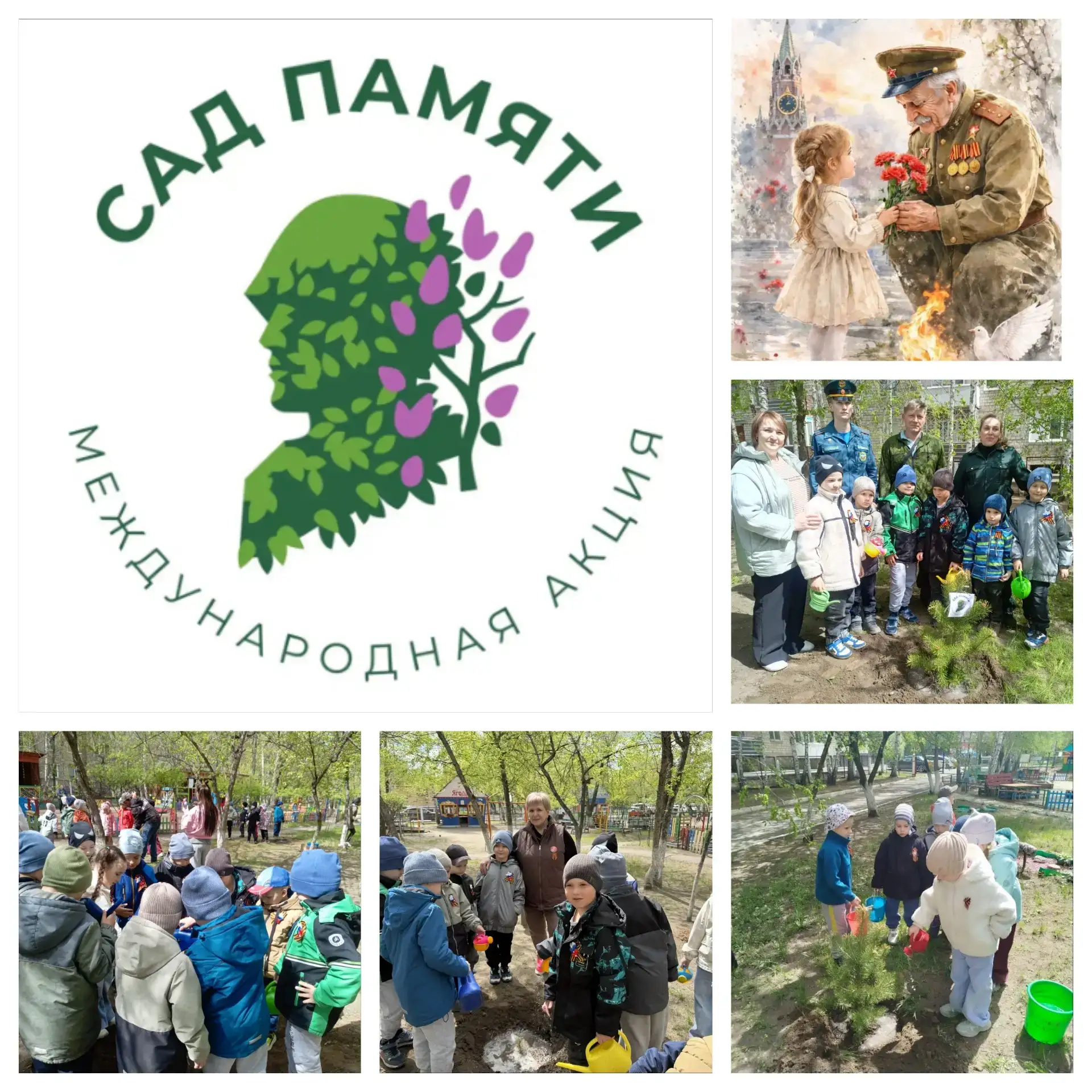 «Живая память: сажаем саженцы деревьев вместе с лесничеством»