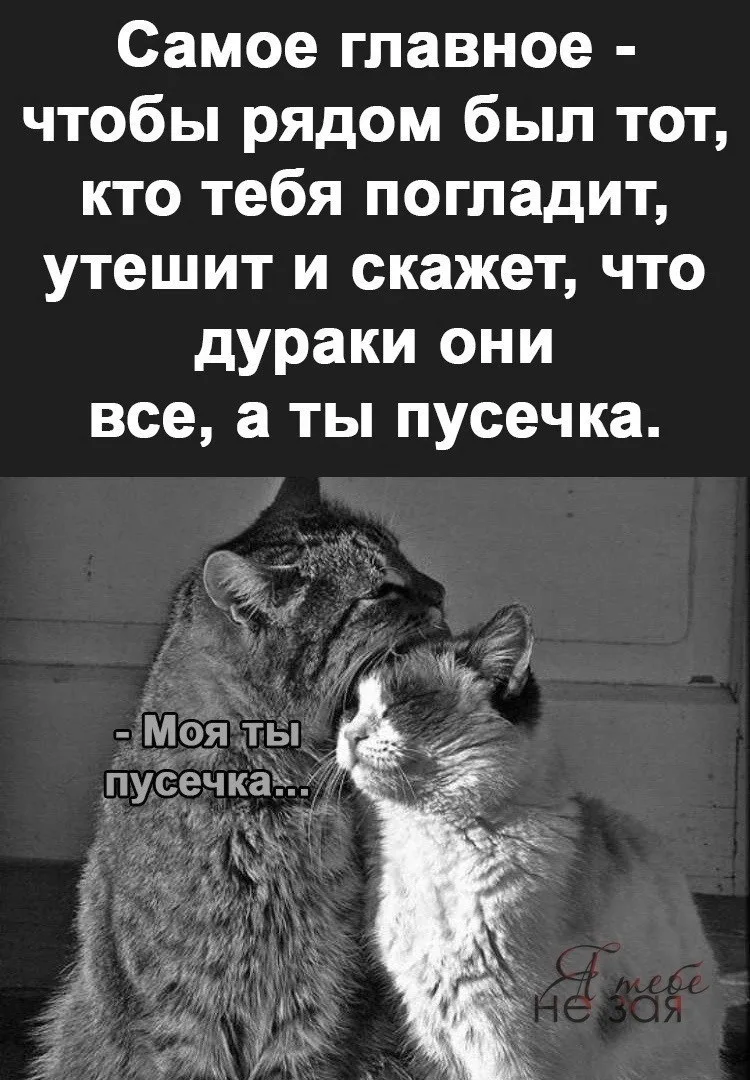 🇷🇺  Мы в МАХ : https://max.ru/public217683068