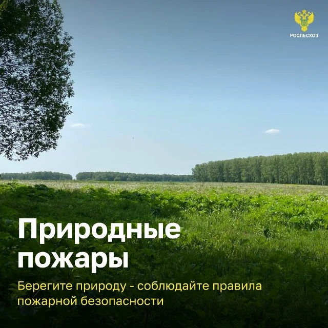 📢 Федеральная информационная противопожарная кампания «Останови огонь!»
