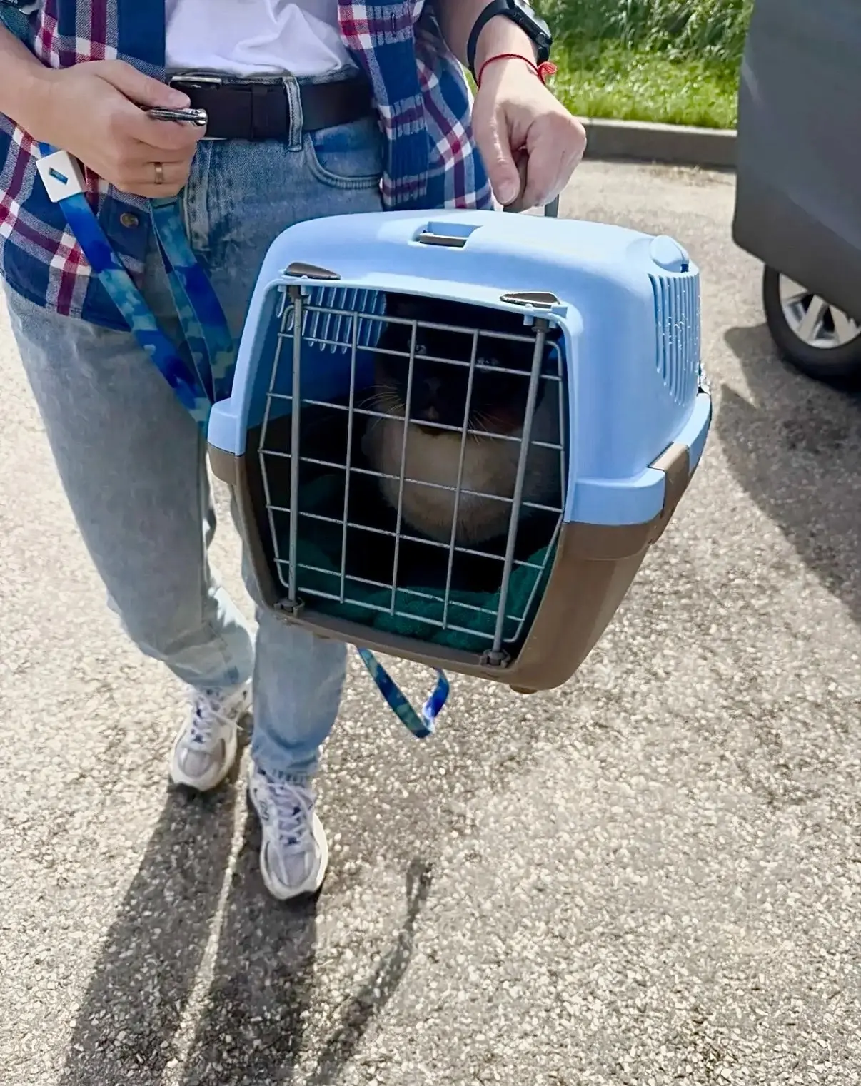 🐈В отделении судебных приставов Суздальского района Владимирской области исполнено суд...