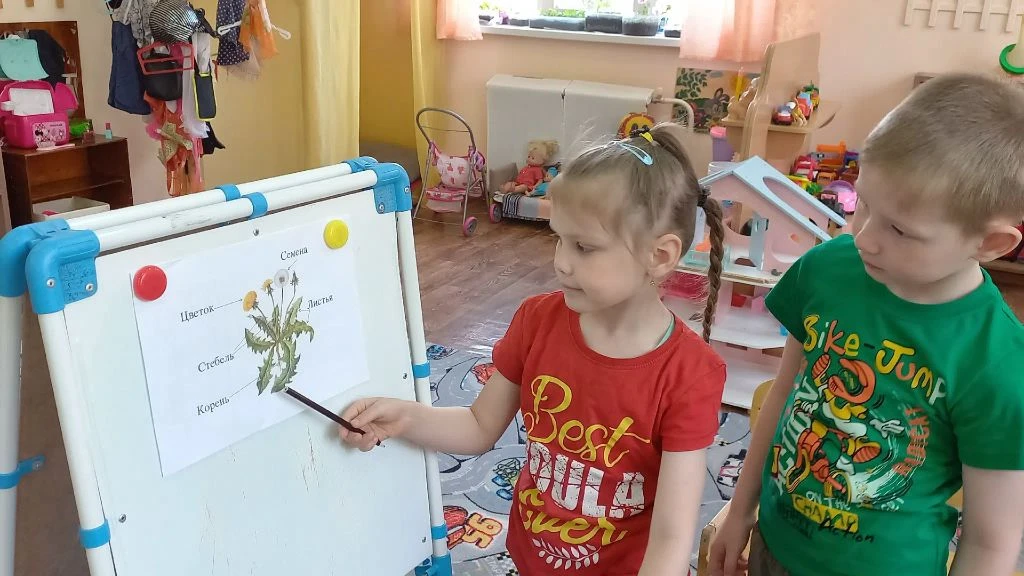 #День_одуванчика