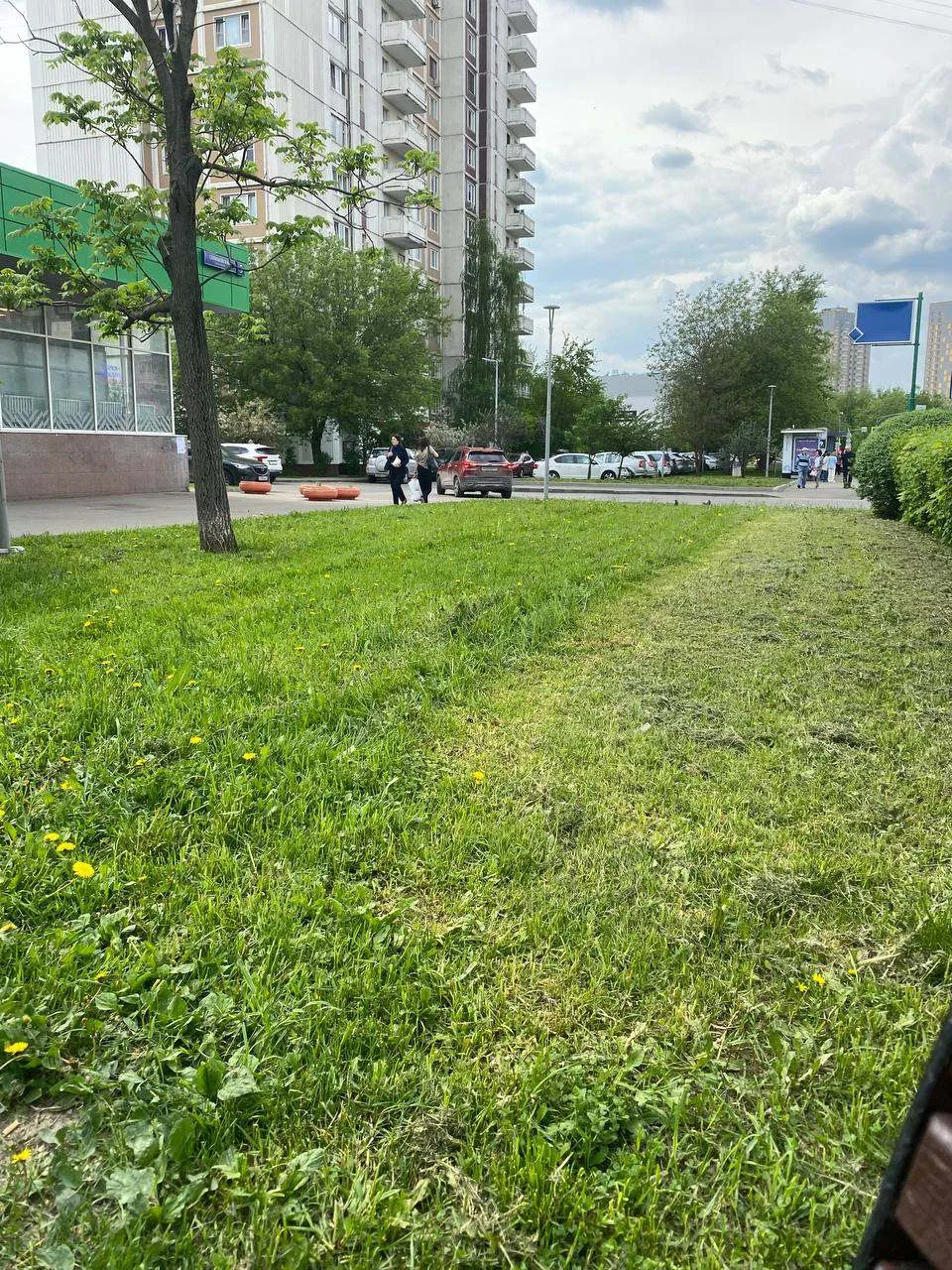 На улице Солнцевский проспект 5 не полностью покошена трава.Просим докосить. Людмила Гулянова Борисо
