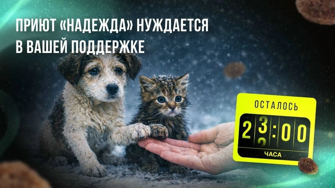 Через 6 часов заканчивается «корзина помощи» для приюта "НАДЕЖДА" г.Североморск. В приюте находятся 