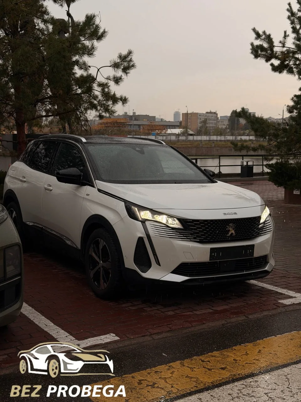 🍾 Peugeot 3008 — у своего владельца!