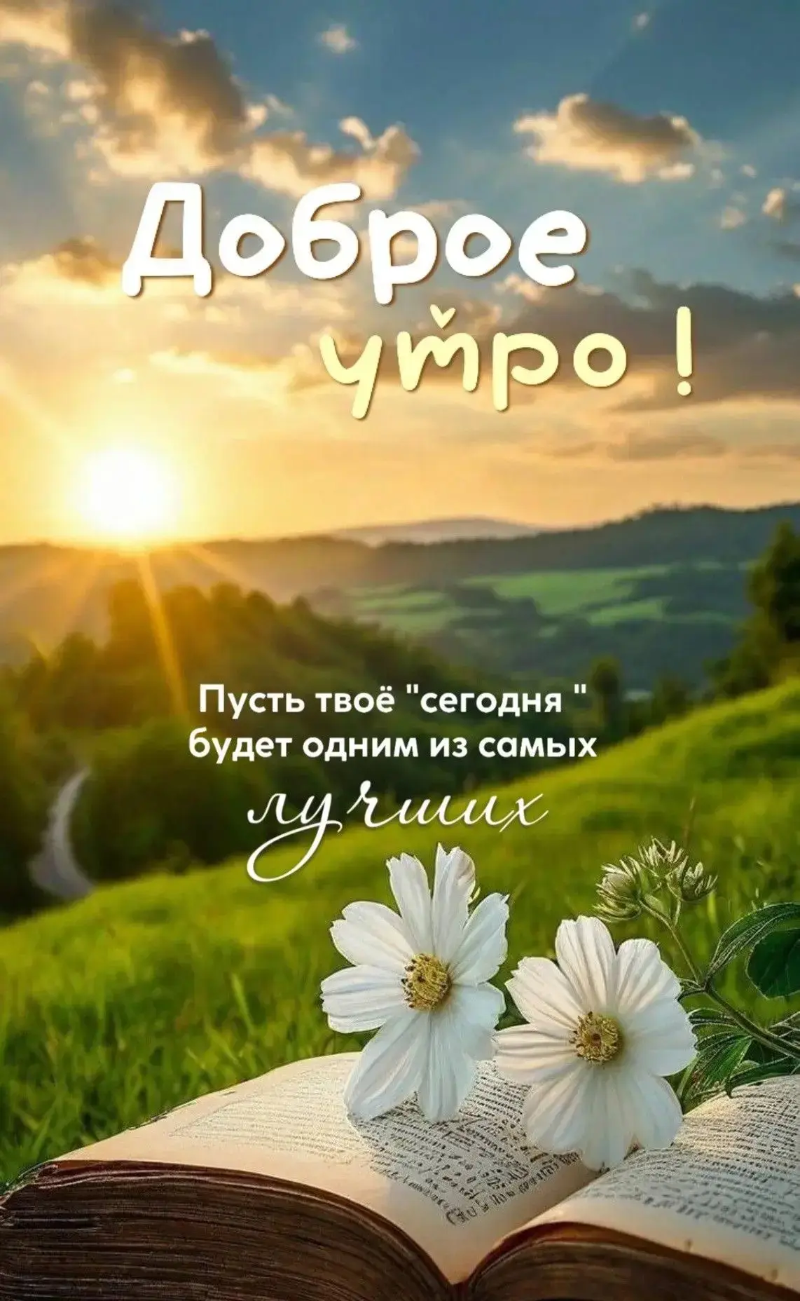 Доброе утро🌺отличного дня 🫠🌺📚🙏