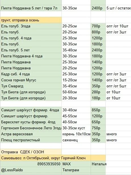 🌲Отправки планируем после 15 сентября, у нас пока жарко, днём 27-29