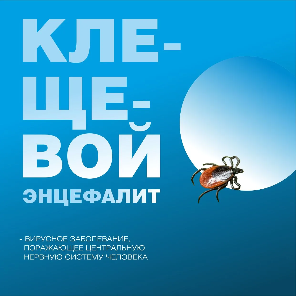 Опасность клещевого энцефалита: симптомы и последствия