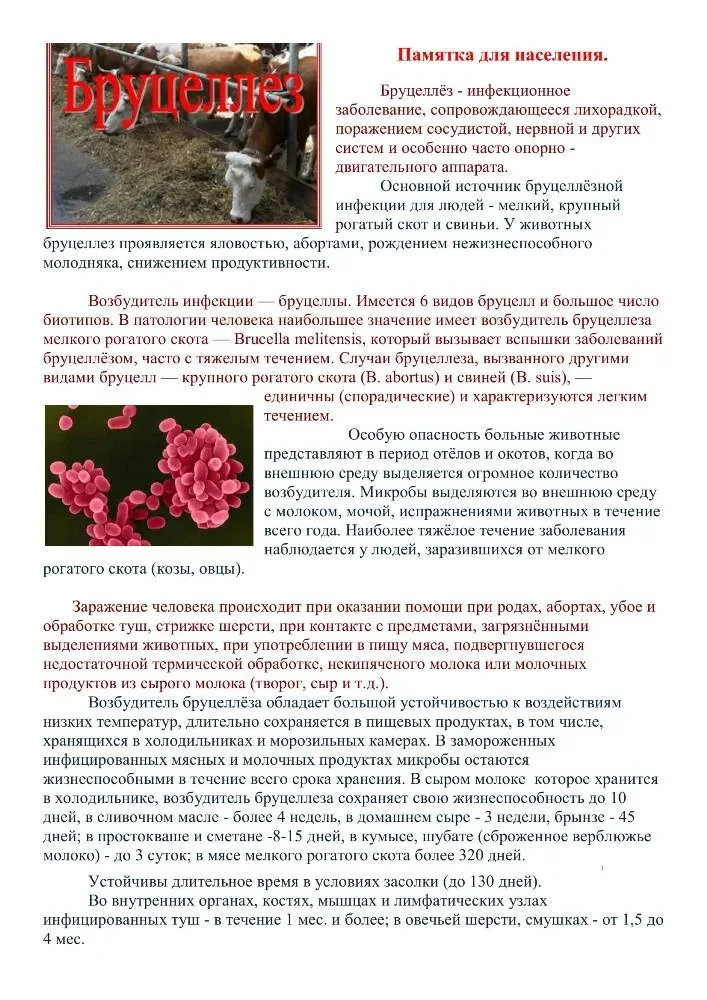 Памятка для населения