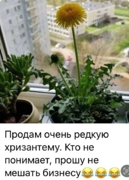 🤣🤣🤣