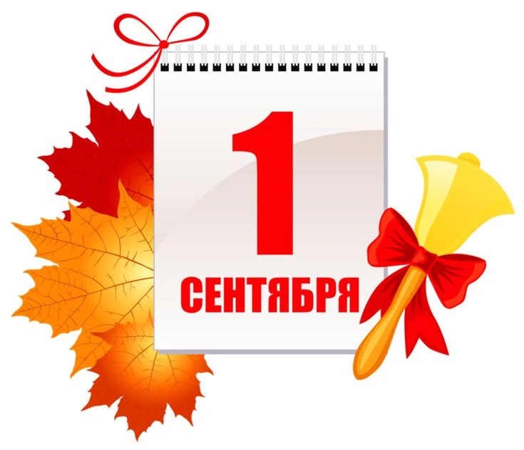 Как много зависит от учителя. И от школы ❤