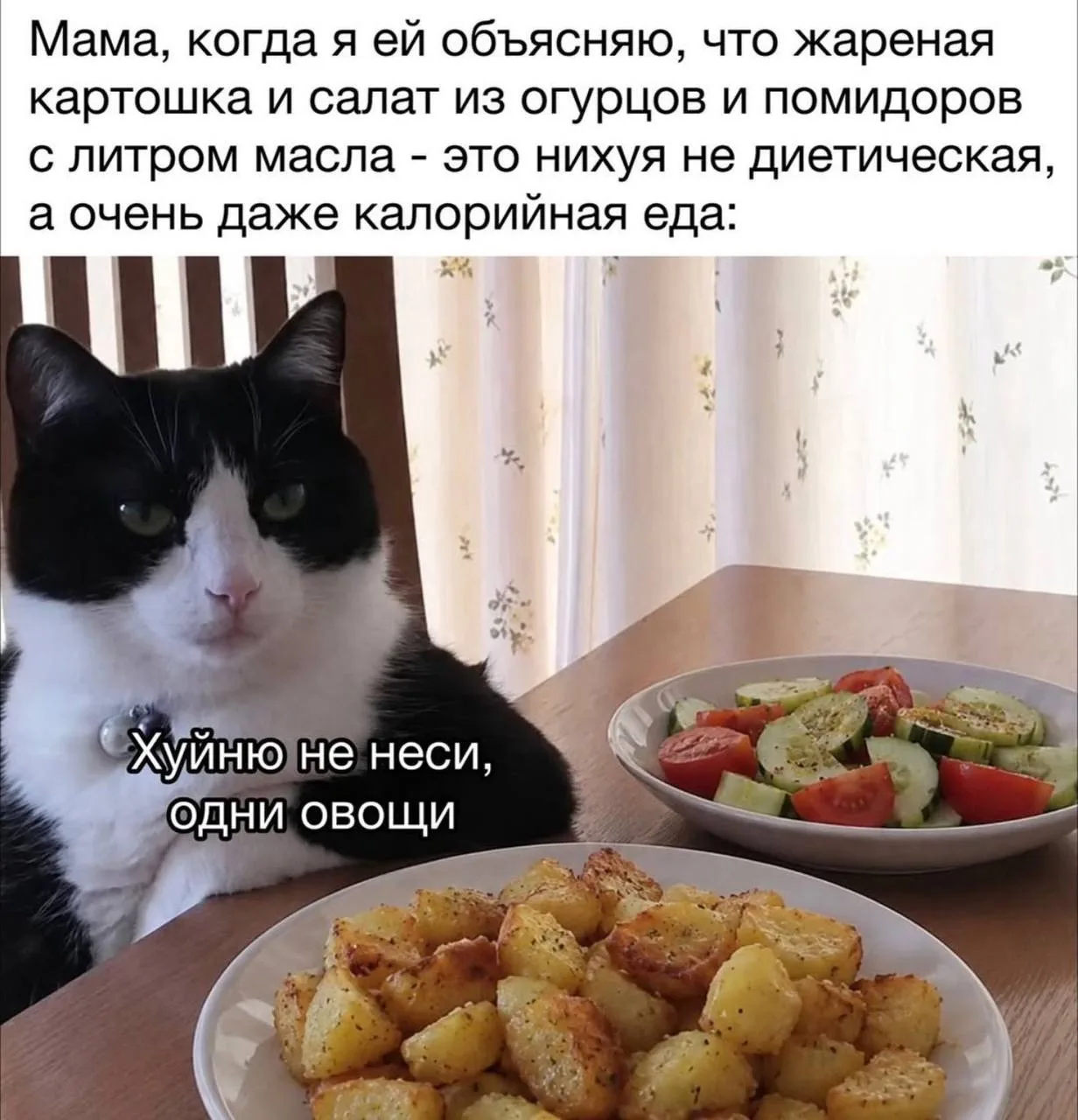 Подпишись на Весёлого Душнилу