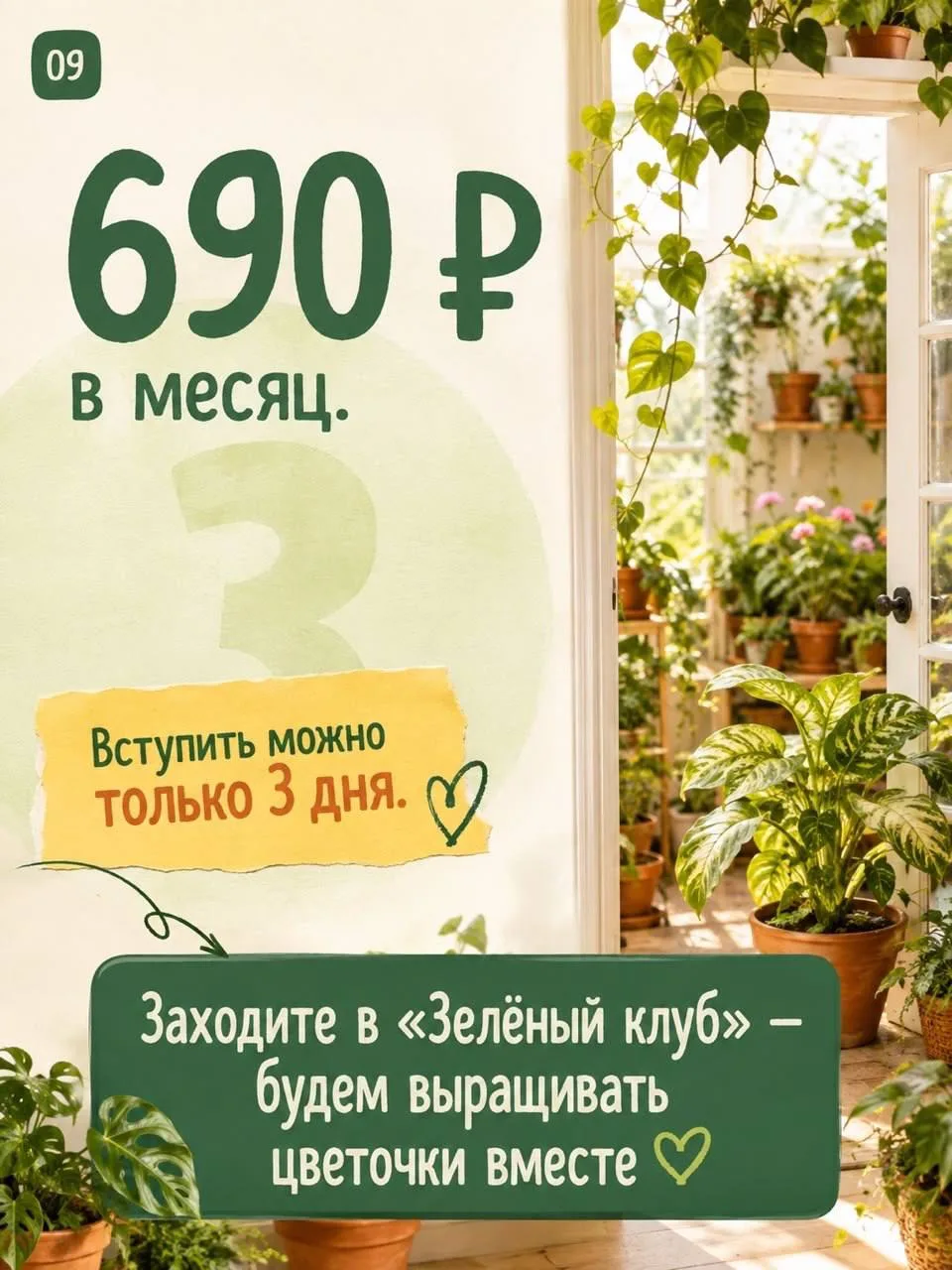 Изображение 9 к публикации «О жизни и растениях | Дом соломинки»